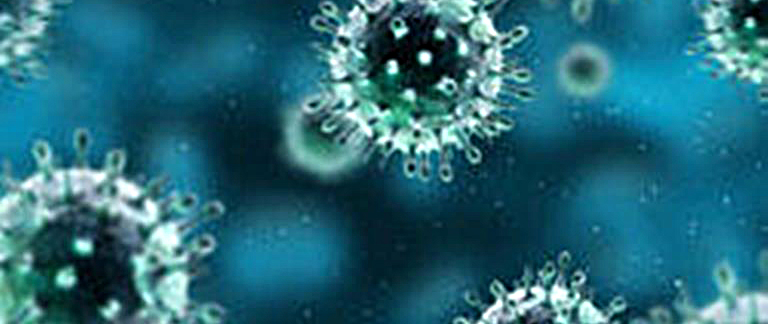 IRAB: Creación De Un Mapa De Vulnerabilidad A Partir Del Estudio Del Virus Sincicial Respiratorio